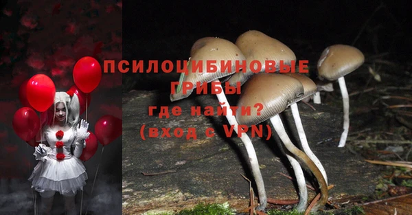 соль ск Великий Новгород
