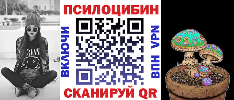 Купить  Кореновск  Галлюциногенные грибы Cubensis 